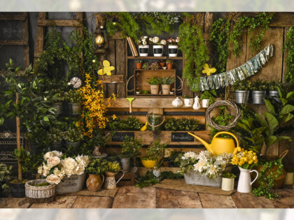 0003 BABY PHOTOGRAPHY BACKDROPS - FABRIC (PRE-ORDER)