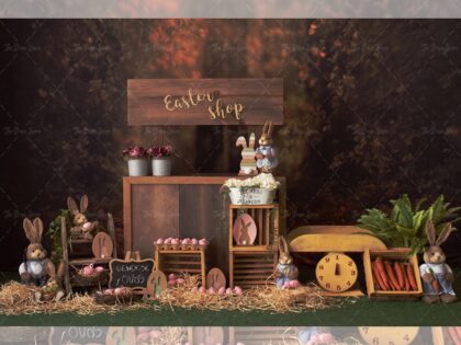 0017 BABY PHOTOGRAPHY BACKDROPS - FABRIC (PRE-ORDER)