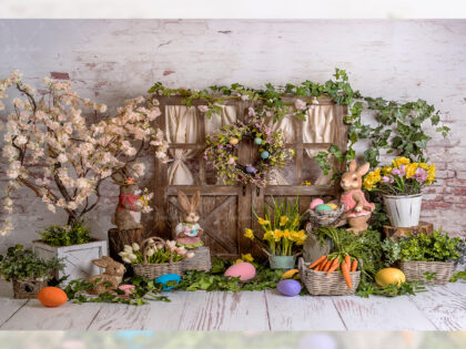 0019 BABY PHOTOGRAPHY BACKDROPS - FABRIC (PRE-ORDER)