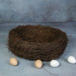 NEWBORN NEST