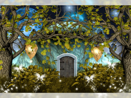 0183 BABY PHOTOGRAPHY BACKDROPS – FABRIC (PRE-ORDER)