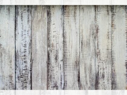 0349 BABY PHOTOGRAPHY BACKDROPS - FABRIC (PRE-ORDER)