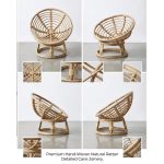 PAPASAN CHAIR - Image 5