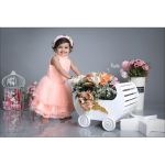 WOODEN WHITE TROLY - Image 2