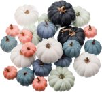 PUMPKIN 24PC SET( MULTI ) - Image 2