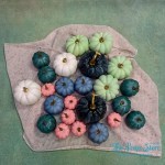 PUMPKIN 24PC SET( MULTI )