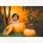 PUMPKIN SET - Image 2