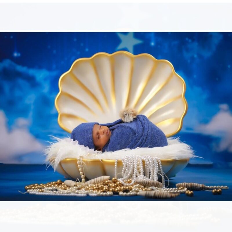 sea shell golden