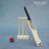 cricket set