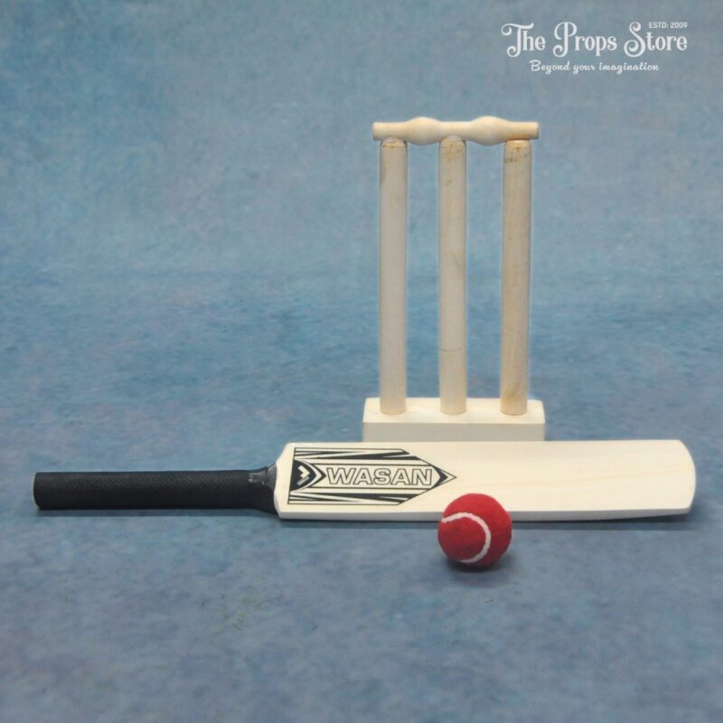 cricket set