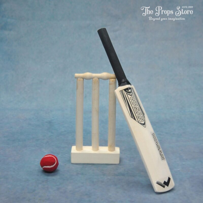 cricket set