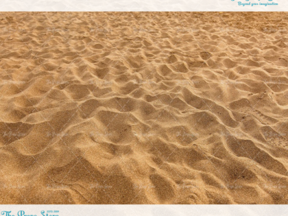 0402 BABY PHOTOGRAPHY BACKDROPS