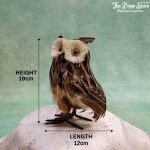 OWL ARTIFICIAL - Image 2