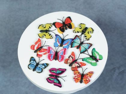 BUTTERFLY SET