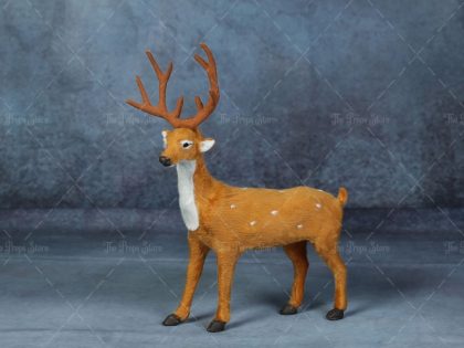 deer small