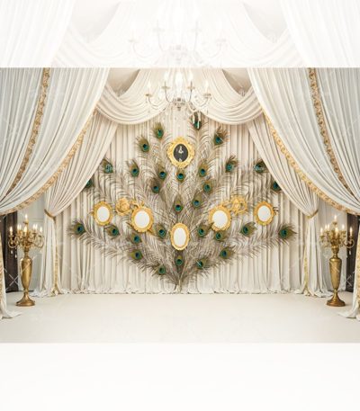 Krishna Theme Backdrops