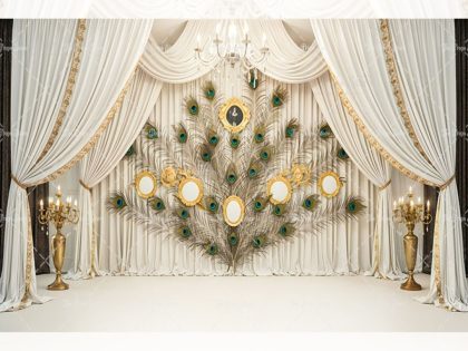 Krishna Theme Backdrops