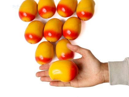 Artificial Mango