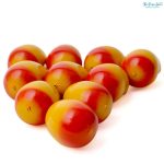 Artificial Mango
