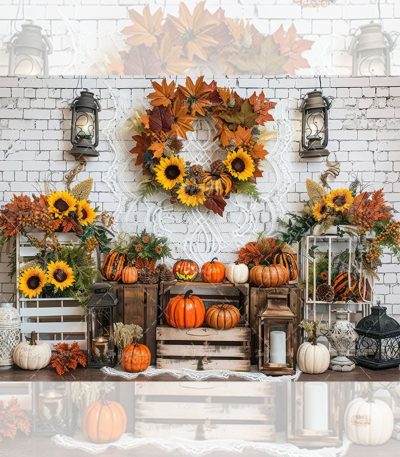 baby photography backdrops