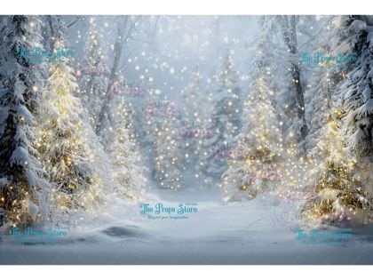 Christmas Backdrop  080