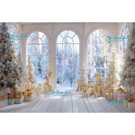 Christmas Backdrop  081