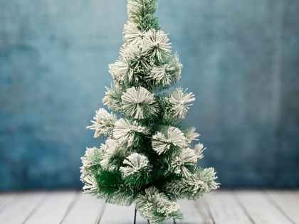 Snow-Frosted Christmas Tree