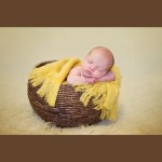 BURN BASKET PROP - Image 5