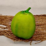 COCONUT GREEN (ARTIFICIAL) - Image 2
