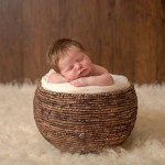 BURN BASKET PROP - Image 2